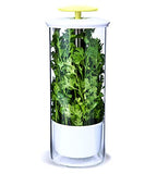 NOVART XXL Premium Glass Herb Keeper and Herb Storage Container – Savor Preserver for Cilantro, Mint, Parsley, Asparagus, Keeps Greens Fresh for 2-3 Weeks