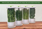 NOVART XXL Premium Glass Herb Keeper and Herb Storage Container – Savor Preserver for Cilantro, Mint, Parsley, Asparagus, Keeps Greens Fresh for 2-3 Weeks